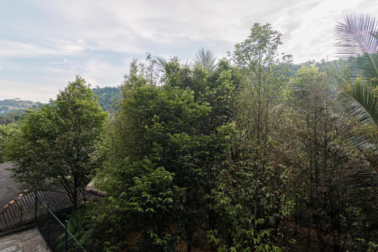Sun Set Forest Villa Kandy Dış mekan fotoğraf