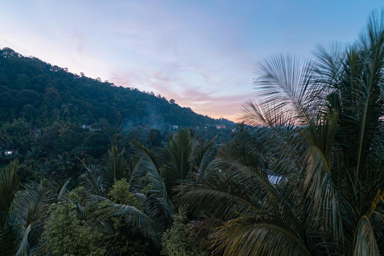 Sun Set Forest Villa Kandy Dış mekan fotoğraf